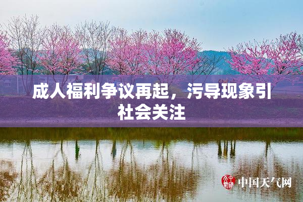 成人福利争议再起，污导现象引社会关注