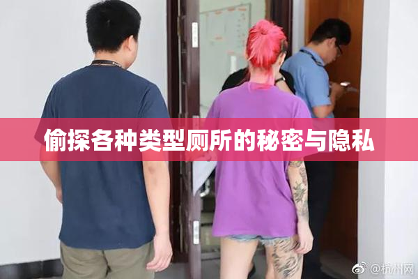 偷探各种类型厕所的秘密与隐私