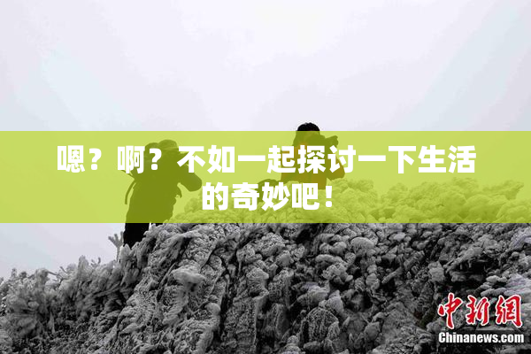嗯？啊？不如一起探讨一下生活的奇妙吧！