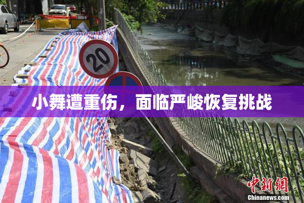 小舞遭重伤，面临严峻恢复挑战