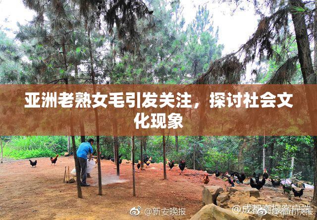 亚洲老熟女毛引发关注，探讨社会文化现象