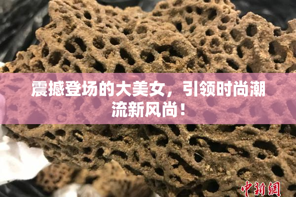 震撼登场的大美女，引领时尚潮流新风尚！