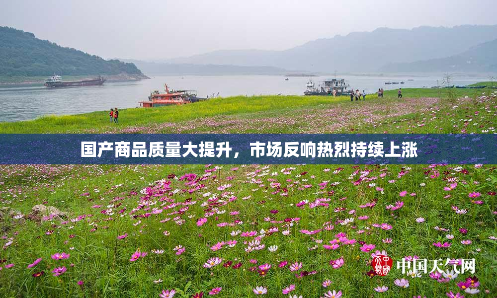 国产商品质量大提升，市场反响热烈持续上涨