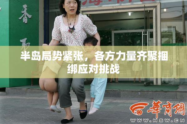 半岛局势紧张，各方力量齐聚捆绑应对挑战