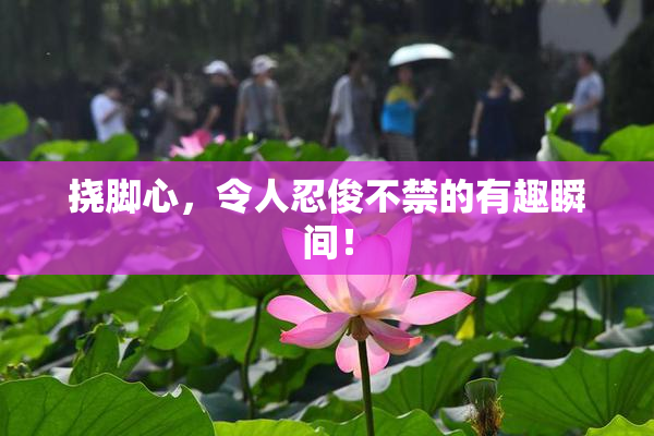 挠脚心，令人忍俊不禁的有趣瞬间！