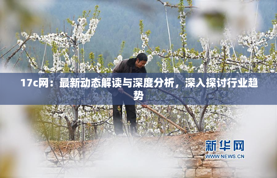 17c网：最新动态解读与深度分析，深入探讨行业趋势