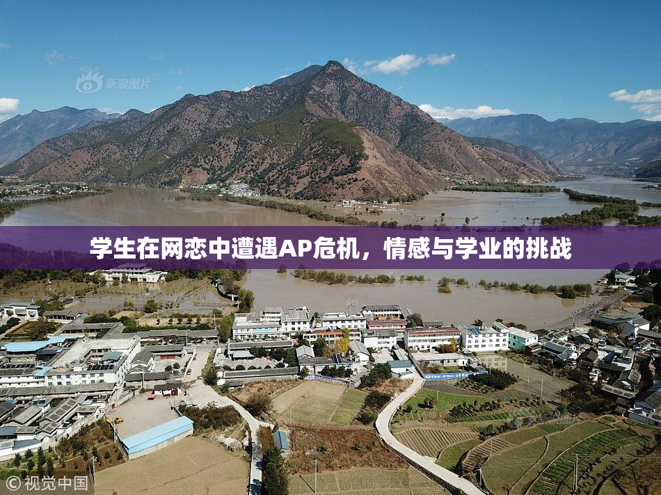 学生在网恋中遭遇AP危机，情感与学业的挑战