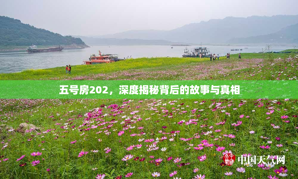 五号房202，深度揭秘背后的故事与真相