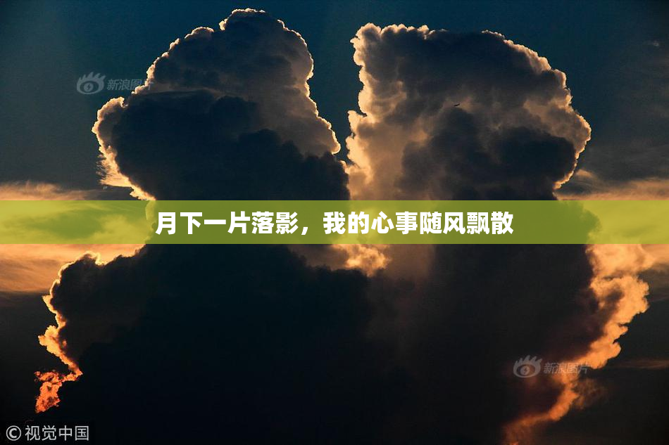 月下一片落影，我的心事随风飘散