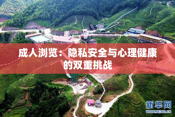 成人浏览：隐私安全与心理健康的双重挑战