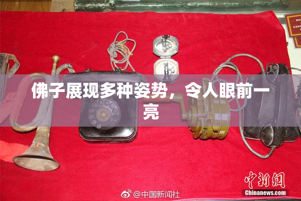 佛子展现多种姿势，令人眼前一亮