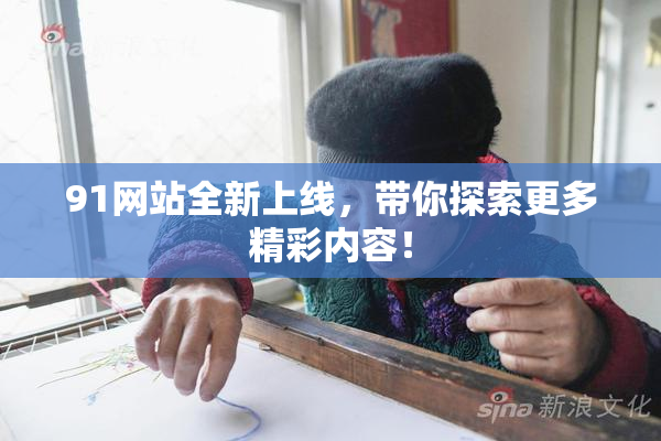 91网站全新上线，带你探索更多精彩内容！