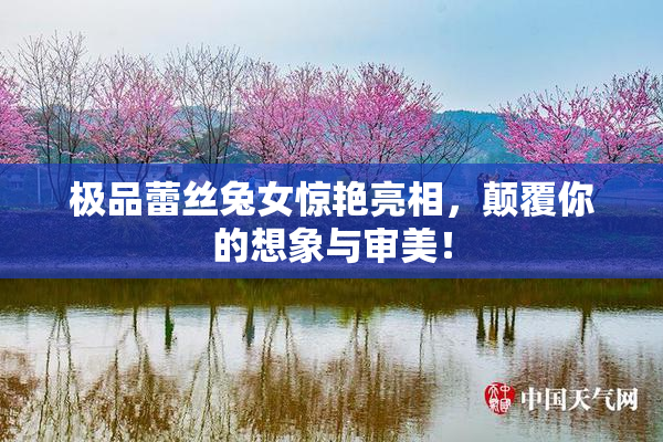 极品蕾丝兔女惊艳亮相，颠覆你的想象与审美！
