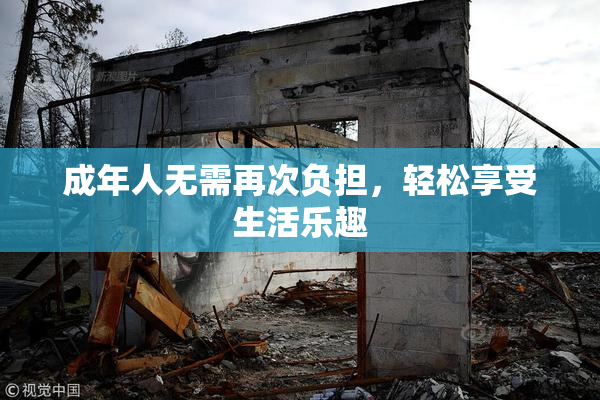 成年人无需再次负担，轻松享受生活乐趣