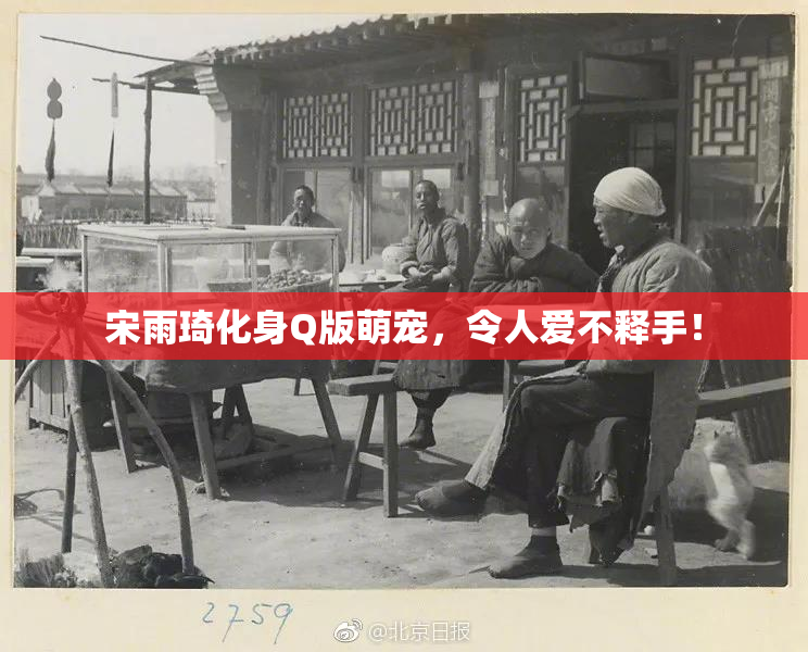 宋雨琦化身Q版萌宠，令人爱不释手！