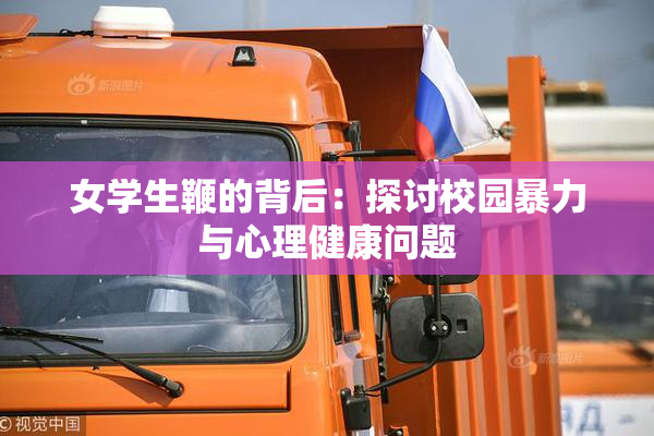 女学生鞭的背后：探讨校园暴力与心理健康问题