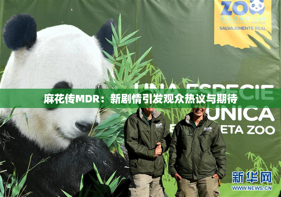麻花传MDR：新剧情引发观众热议与期待