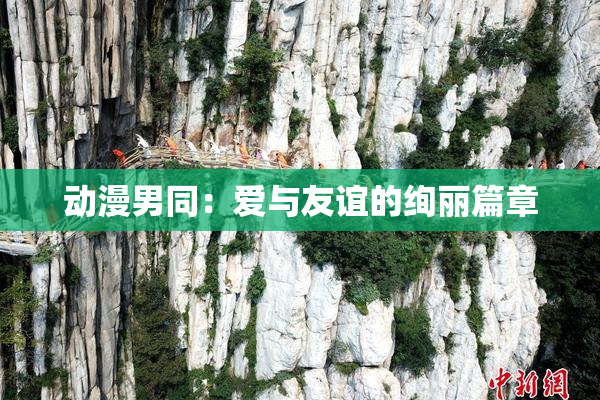 动漫男同：爱与友谊的绚丽篇章