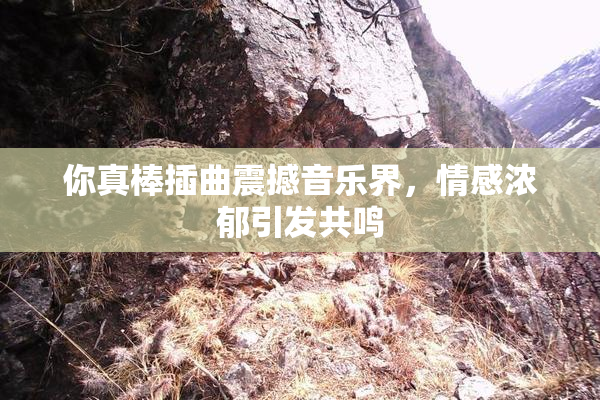 你真棒插曲震撼音乐界，情感浓郁引发共鸣