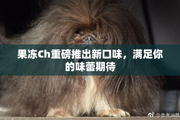 果冻Ch重磅推出新口味，满足你的味蕾期待