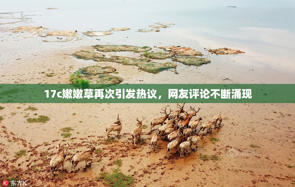 17c嫩嫩草再次引发热议，网友评论不断涌现