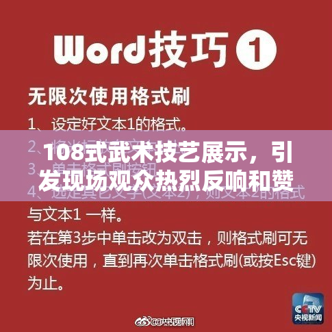 108式武术技艺展示，引发现场观众热烈反响和赞叹