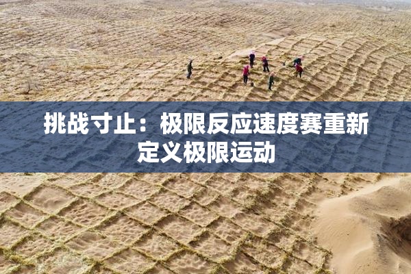 挑战寸止：极限反应速度赛重新定义极限运动