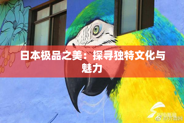 日本极品之美：探寻独特文化与魅力