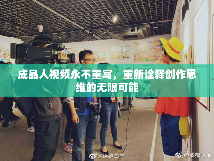 成品人视频永不重写，重新诠释创作思维的无限可能