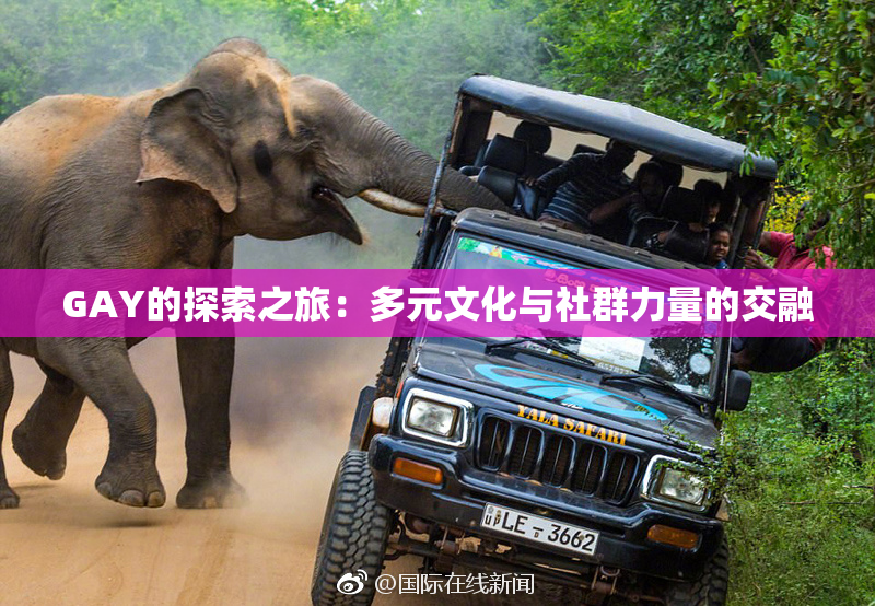 GAY的探索之旅：多元文化与社群力量的交融