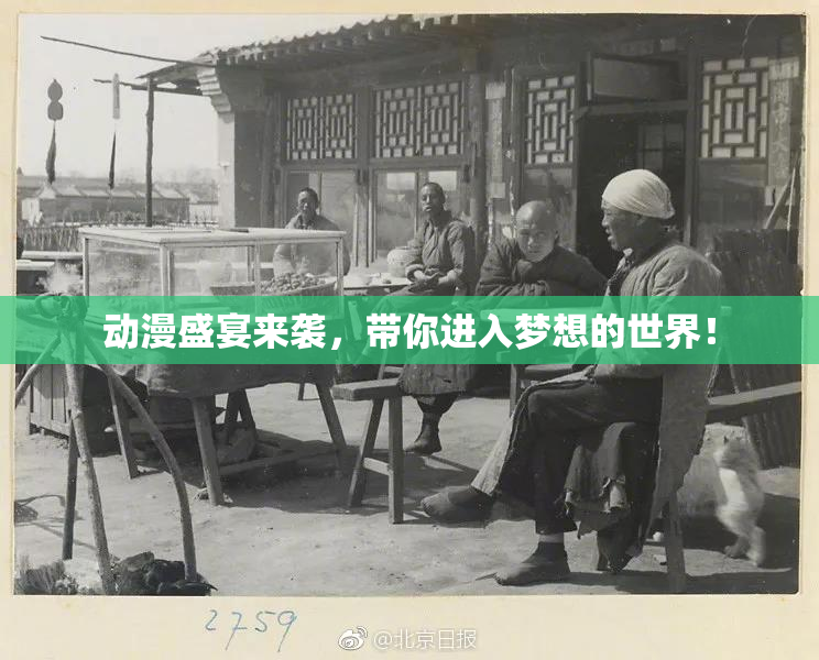 动漫盛宴来袭，带你进入梦想的世界！