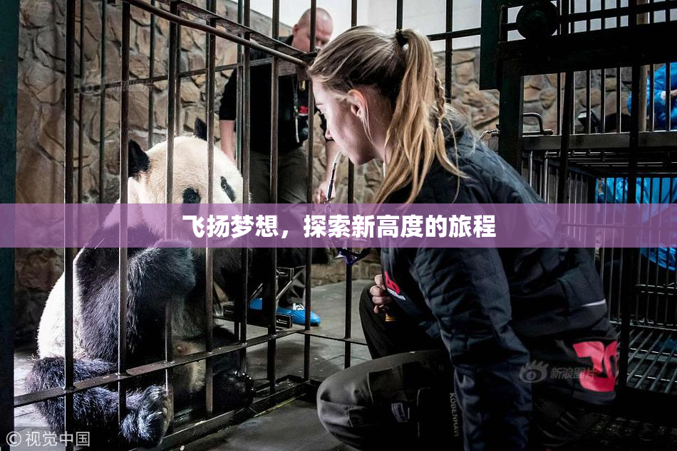 飞扬梦想，探索新高度的旅程