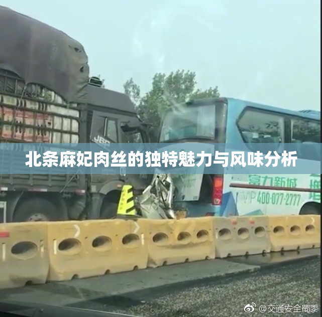 北条麻妃肉丝的独特魅力与风味分析