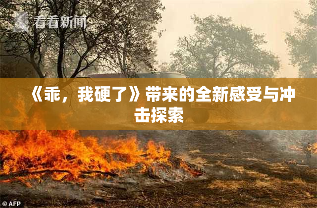 《乖，我硬了》带来的全新感受与冲击探索