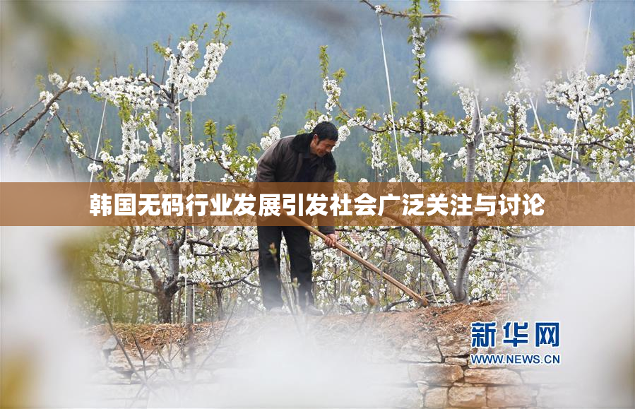 韩国无码行业发展引发社会广泛关注与讨论