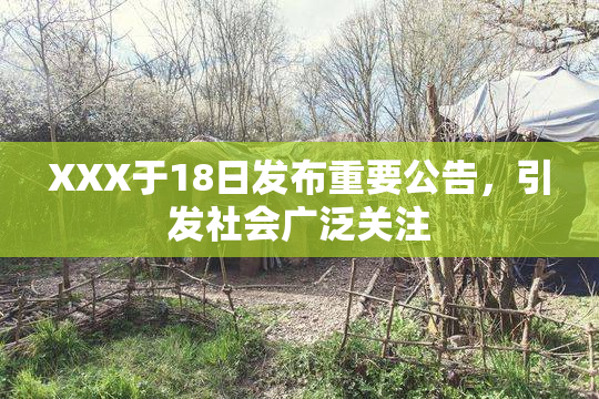 XXX于18日发布重要公告，引发社会广泛关注