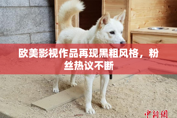 欧美影视作品再现黑粗风格，粉丝热议不断