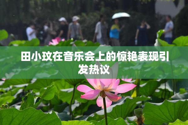 田小玟在音乐会上的惊艳表现引发热议