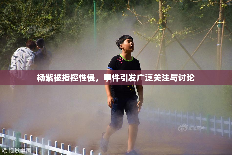 杨紫被指控性侵，事件引发广泛关注与讨论