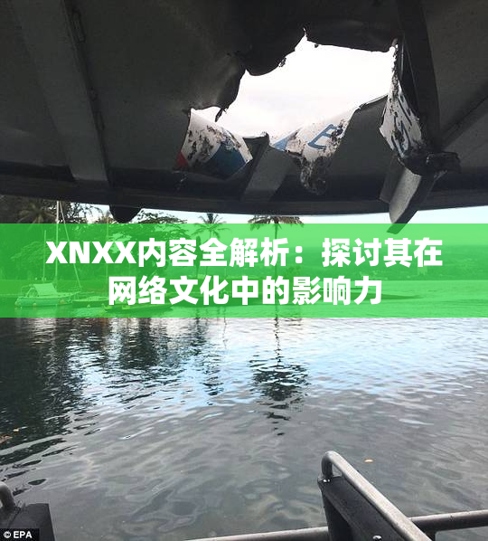 XNXX内容全解析：探讨其在网络文化中的影响力