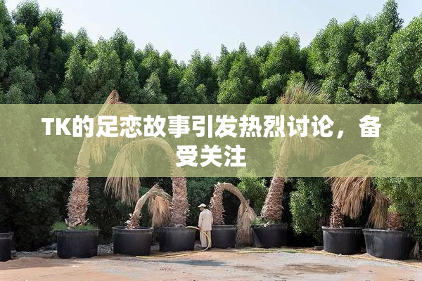 TK的足恋故事引发热烈讨论，备受关注