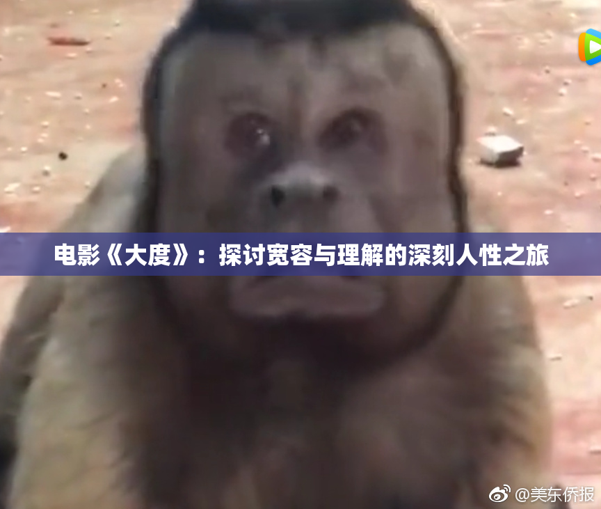 电影《大度》：探讨宽容与理解的深刻人性之旅