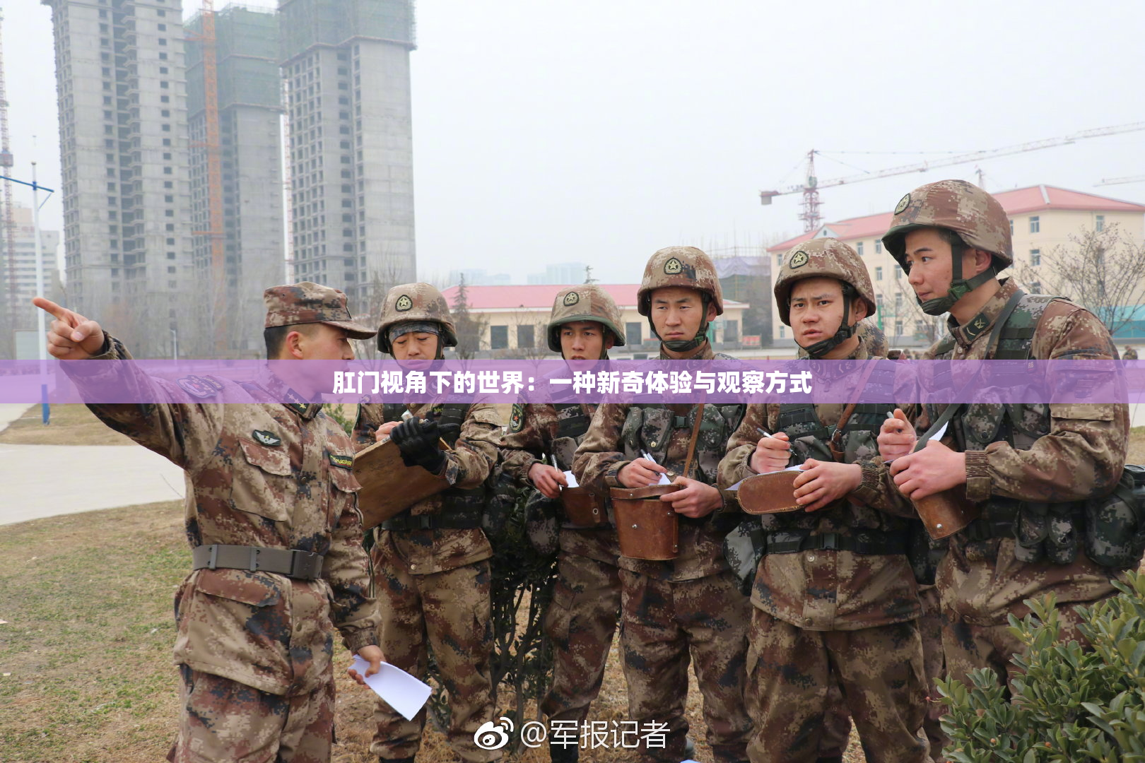 肛门视角下的世界：一种新奇体验与观察方式