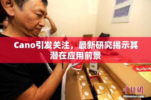 Cano引发关注，最新研究揭示其潜在应用前景