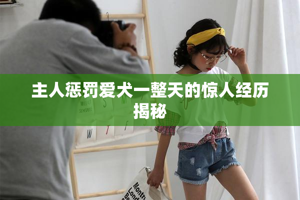 主人惩罚爱犬一整天的惊人经历揭秘