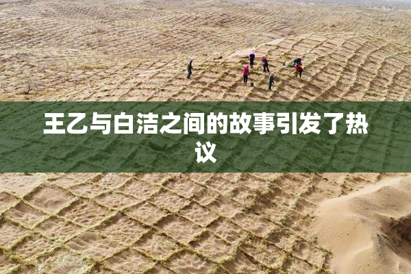 王乙与白洁之间的故事引发了热议