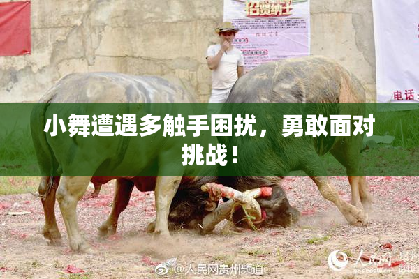 小舞遭遇多触手困扰，勇敢面对挑战！