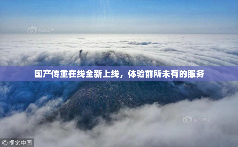 国产传重在线全新上线，体验前所未有的服务