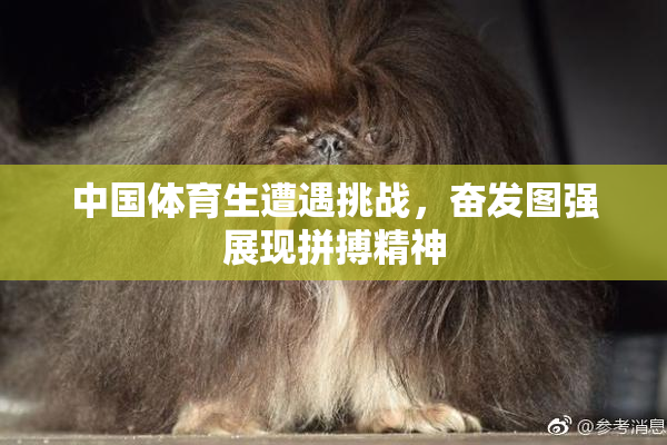 中国体育生遭遇挑战，奋发图强展现拼搏精神