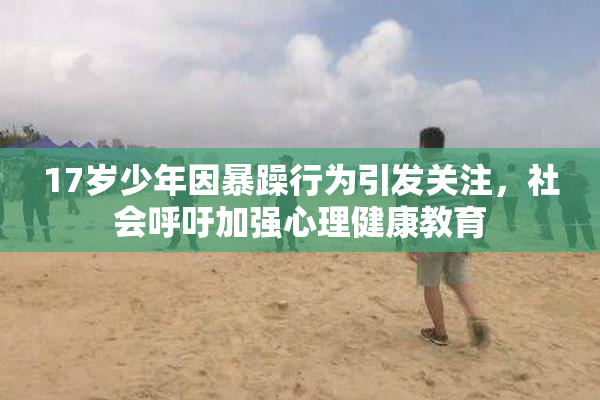 17岁少年因暴躁行为引发关注，社会呼吁加强心理健康教育